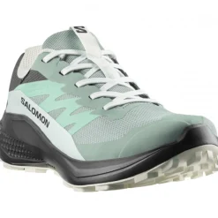 Salomon Alphaglide GTX, løbesko, dame, grøn/grå
