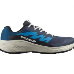Salomon Alphaglide GTX, løbesko, herre, blå