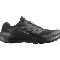 Salomon Alphaglide GTX, løbesko, herre, sort
