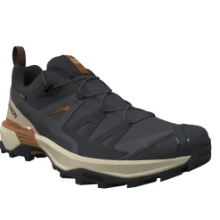 Salomon X Ultra 360 GTX, vandresko, herre, brun/beige