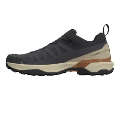 Salomon X Ultra 360 GTX, vandresko, herre, brun/beige