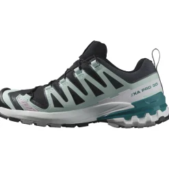 Salomon XA Pro 3D V9 GTX, trailsko, dame, grå/lyseblå