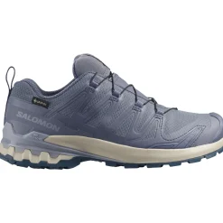 Salomon XA PRO 3D V9 GTX, trailsko, dame, grå/blå