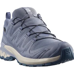 Salomon XA PRO 3D V9 GTX, trailsko, dame, grå/blå