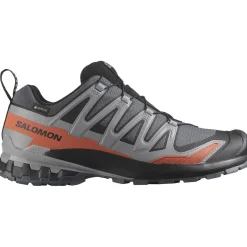 Salomon XA Pro 3D V9 GTX, trailsko, herre, grå/rød
