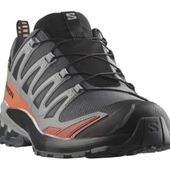 Salomon XA Pro 3D V9 GTX, trailsko, herre, grå/rød