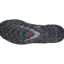 Salomon XA Pro 3D V9 GTX, trailsko, herre, grå/rød