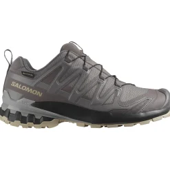 Salomon XA Pro 3D V9 GTX, trailsko, dame, grå
