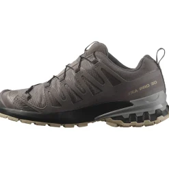 Salomon XA Pro 3D V9 GTX, trailsko, dame, grå