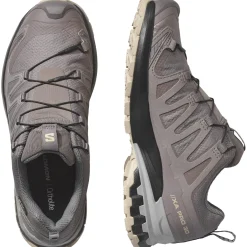 Salomon XA Pro 3D V9 GTX, trailsko, dame, grå