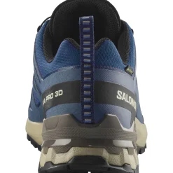 Salomon XA Pro 3D V9 GTX, trailsko, herre, blå