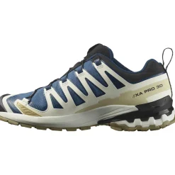 Salomon XA Pro 3D V9 GTX, trailsko, herre, blå