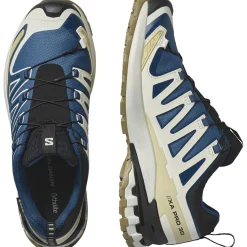 Salomon XA Pro 3D V9 GTX, trailsko, herre, blå