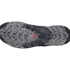 Salomon XA Pro 3D V9 GTX, trailsko, herre, sort