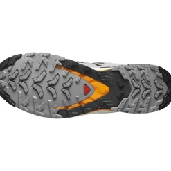 Salomon XA PRO 3D V9, trailsko, herre, sort/beige