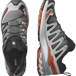Salomon XA Pro 3D V9, trailsko, herre, grå/rød